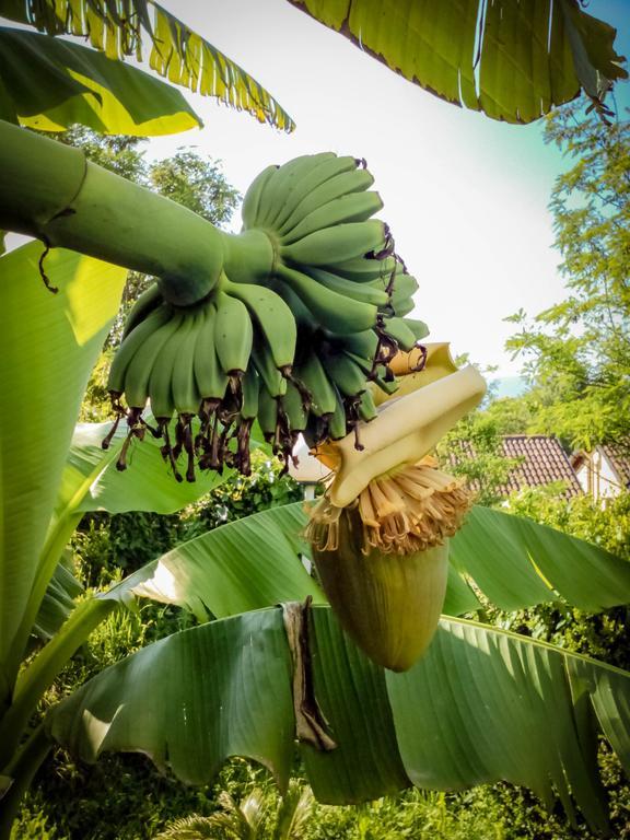 Il Giardino Delle Farfalle Valgioie Exterior foto